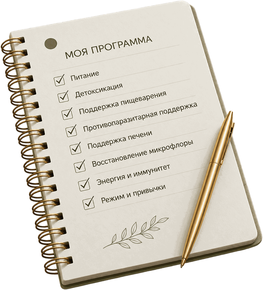 План программы восстановления по шагам
